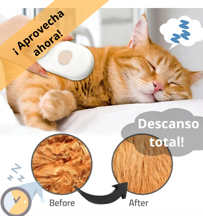 Cepillo Automatico Vapor Perro Gato 3en1